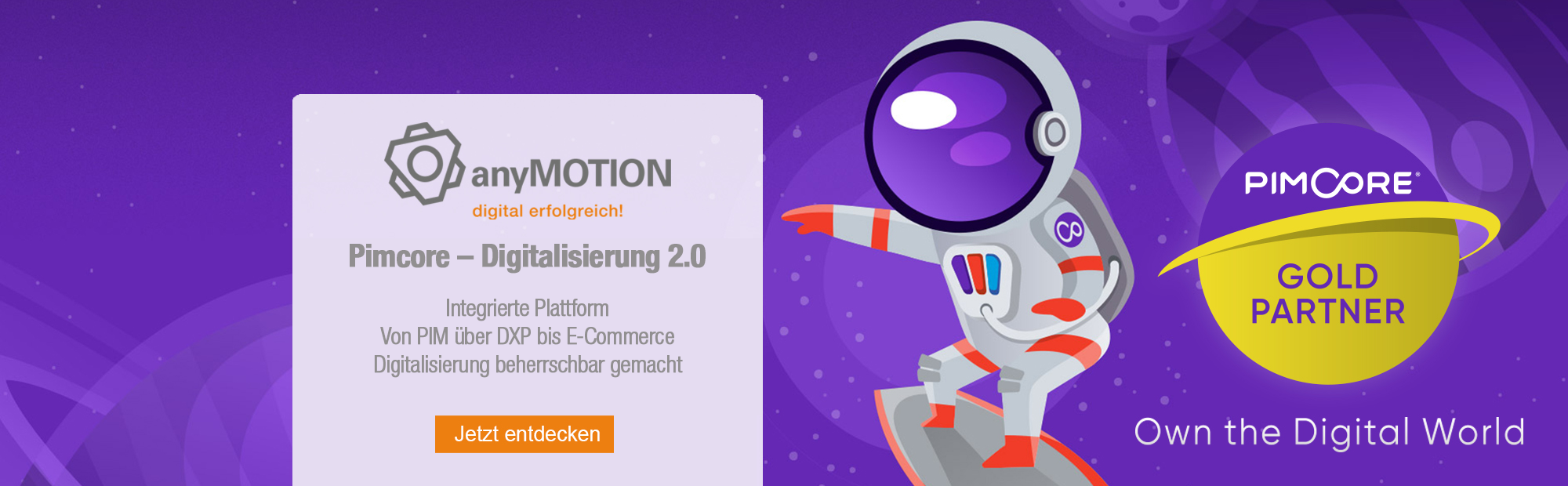 anyMOTION Pimcore Gold-Partner