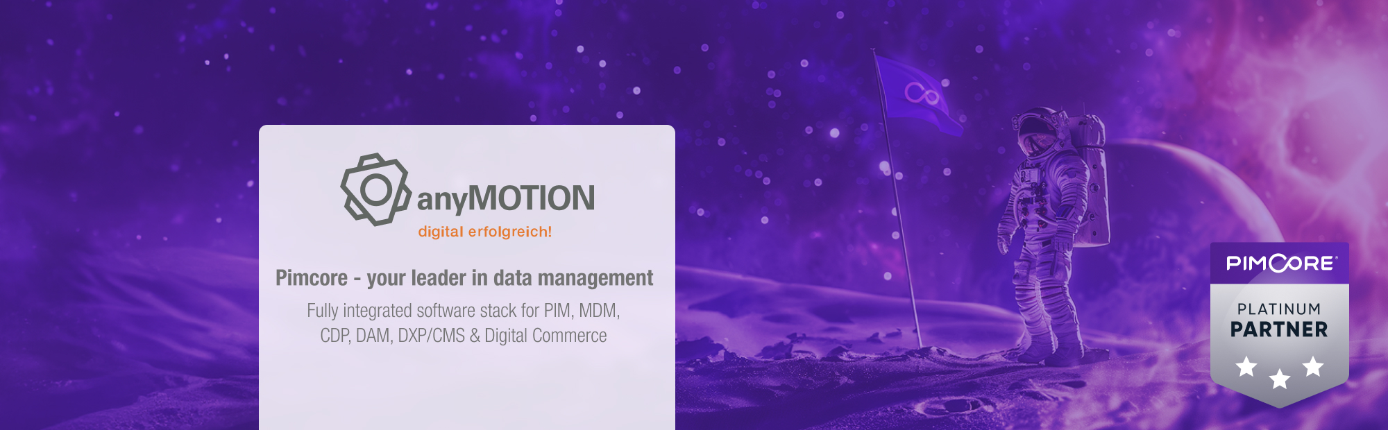 anyMOTION Pimcore Platinum Partner